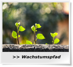 Wachstum